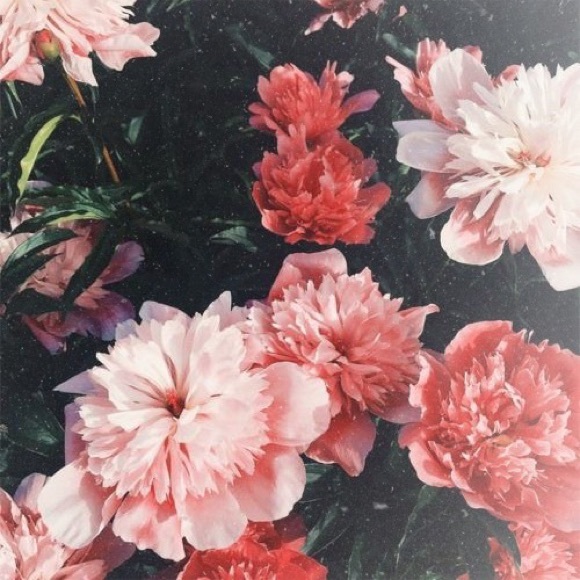 Welcome to, Studio Bee Corner 💕 - Picture 3 of 8